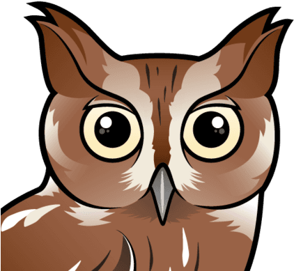About The Eastern Screech-owl - Eastern Screech Owl (gray Phase) Tote Bag, Adult Unisex, - Free Transparent PNG Clipart Images Download. - Transparent PNG Free Download | PNGio