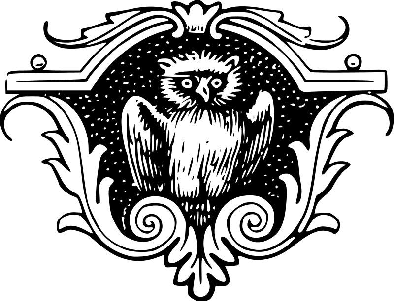 Free Grumpy Owl - Skull Logo Design Png - Free Transparent PNG Clipart Images Download. - Transparent PNG Free Download | PNGio