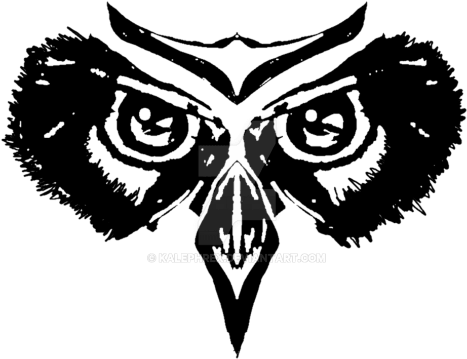 Owl's Glare By Kalephrex - Illustration - Free Transparent PNG Clipart Images Download. - Transparent PNG Free Download | PNGio