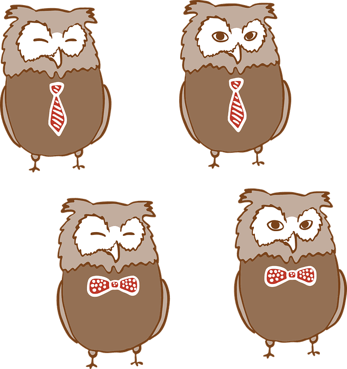 Baby Owl Clipart 25, Buy Clip Art - Love About You: Valentine's Day Journal / Composition - Free Transparent PNG Clipart Images Download. - Transparent PNG Free Download | PNGio