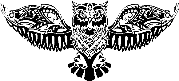 Meet Bob The Owl - Carolina Hardware And Decor Mushroom Knob (set - Free Transparent PNG Clipart Images Download. - Transparent PNG Free Download | PNGio