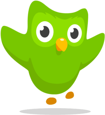 It Is A Green Owl Of An Unknown Species And Is Meant - Duolingo Icon - Free Transparent PNG Clipart Images Download. - Transparent PNG Free Download | PNGio