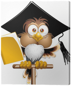 Gufo Professore Cartoon Owl Teacher Cartoon Vector - Teacher Cartoon - Free Transparent PNG Clipart Images Download. - Transparent PNG Free Download | PNGio