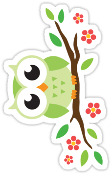 Cute Green Cartoon Owl On Floral Branch Sticker By - Niedliche Grüne Eule Auf Personalisiertem Namen Kaffeetasse - Free Transparent PNG Clipart Images Download. - Transparent PNG Free Download | PNGio