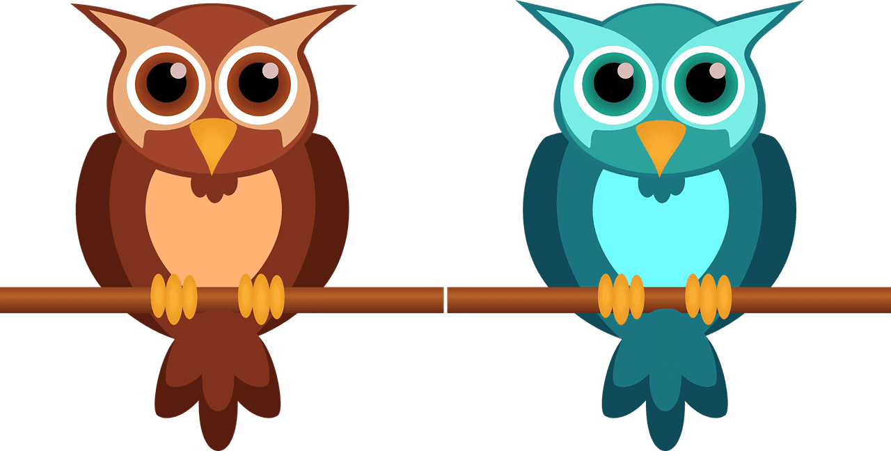 Owl Cute Nocturnal - Cartoon Pictures For Kids - Free Transparent PNG Clipart Images Download. - Transparent PNG Free Download | PNGio