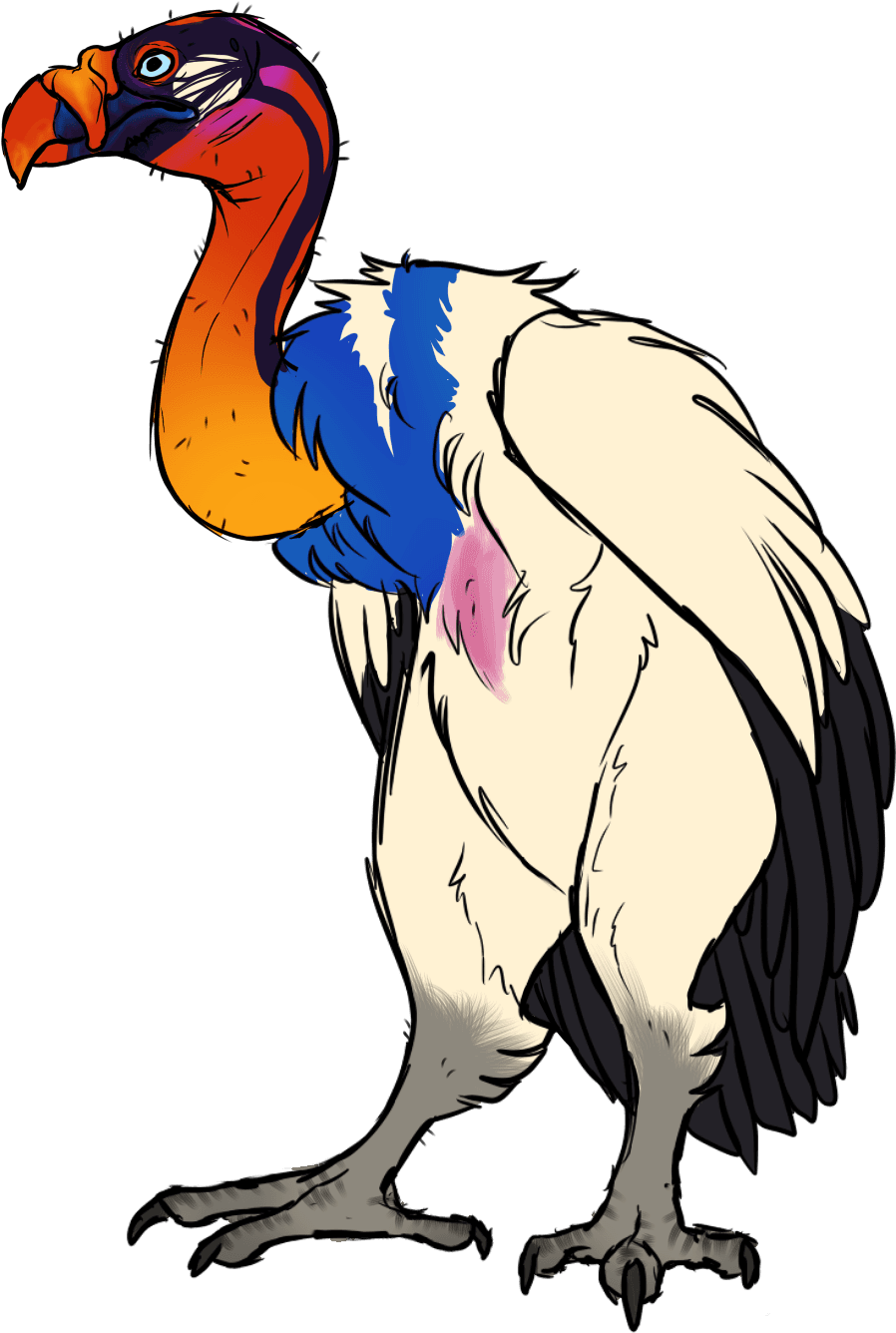 King Vulture By Mute-owl - King Vulture Clipart - Free Transparent PNG Clipart Images Download. - Transparent PNG Free Download | PNGio
