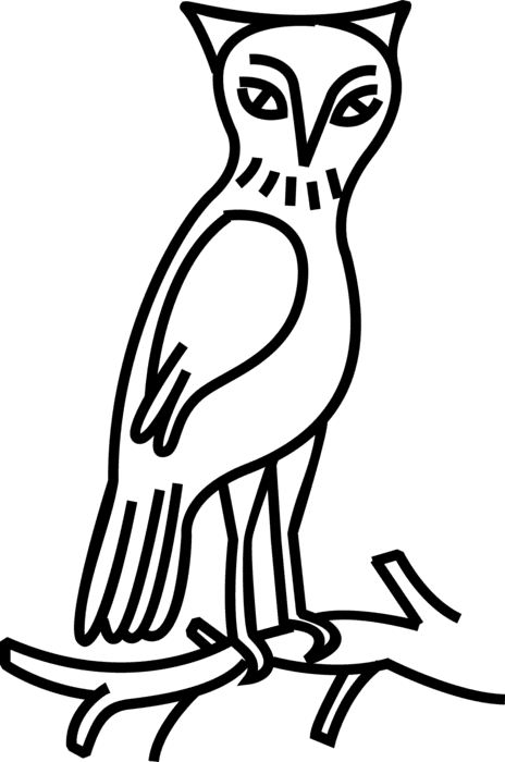 Vector Illustration Of Owl Nocturnal Bird Of Prey Stands - Eastern Screech Owl Transparent PNG - 464x700 - Free Download on - Transparent PNG Free Download | PNGio