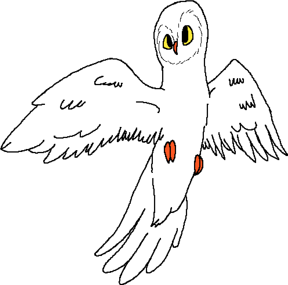 Transparent Snow Owl Png - Eagle, Png Download - Transparent PNG Free Download | PNGio