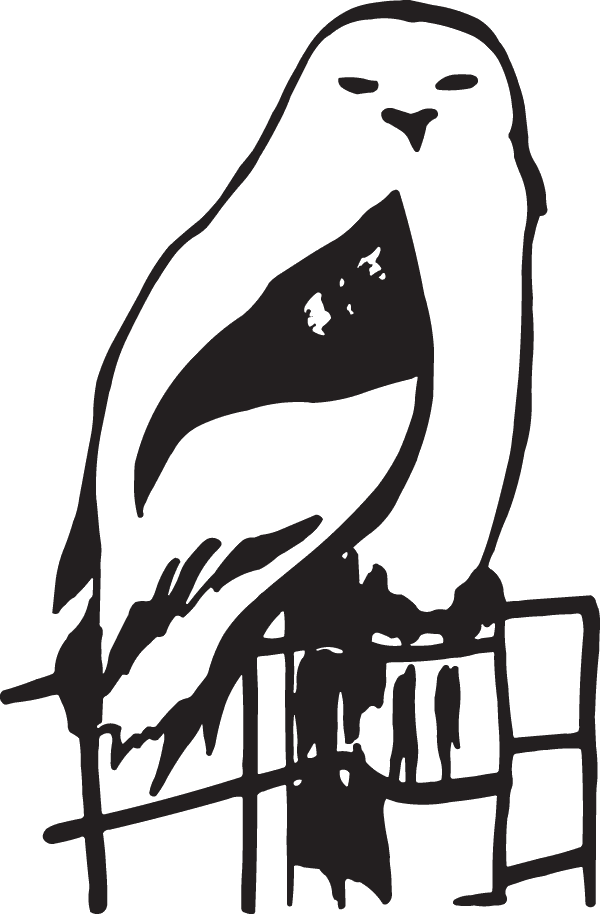 Clip Art, HD Png Download - Transparent PNG Free Download | PNGio