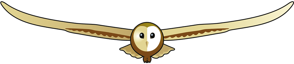 Barn Owl, Children, Wildlife - Cartoon, HD Png Download - Transparent PNG Free Download | PNGio