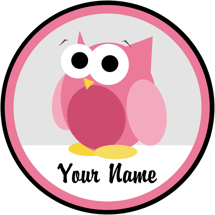 Funny Cute Pink Owl Magnet Clipart , Png Download - Conservation Of Surface As Groundwater, Transparent - Transparent PNG Free Download | PNGio