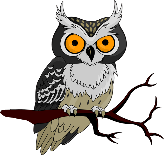 Clip Art Collection Of Free Crazed - Clipart Halloween Owl, HD Png Download - Transparent PNG Free Download | PNGio