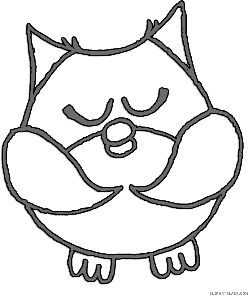 Snowy Owl Clipart Night Owl - Owl, HD Png Download - Transparent PNG Free Download | PNGio