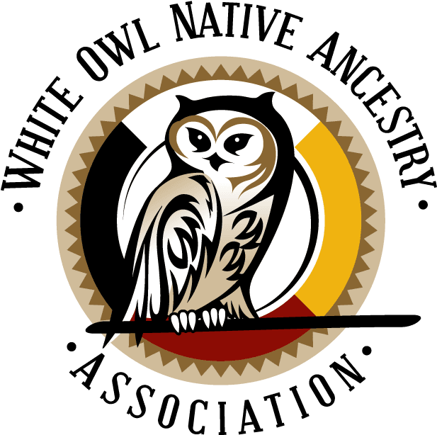 White Owl Native Ancestry Association, HD Png Download - Transparent PNG Free Download | PNGio