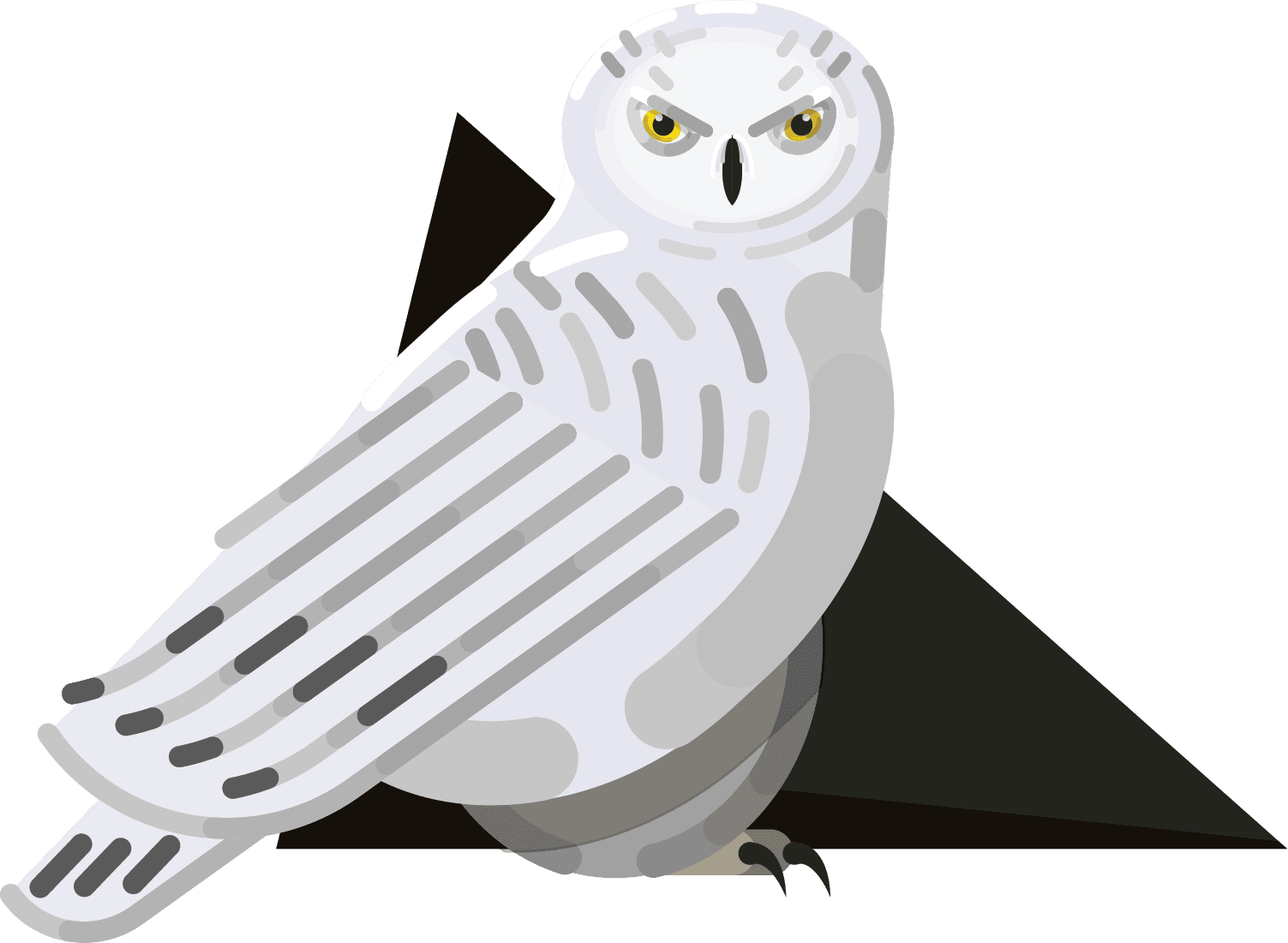 Snowy Owl, HD Png Download - Transparent PNG Free Download | PNGio