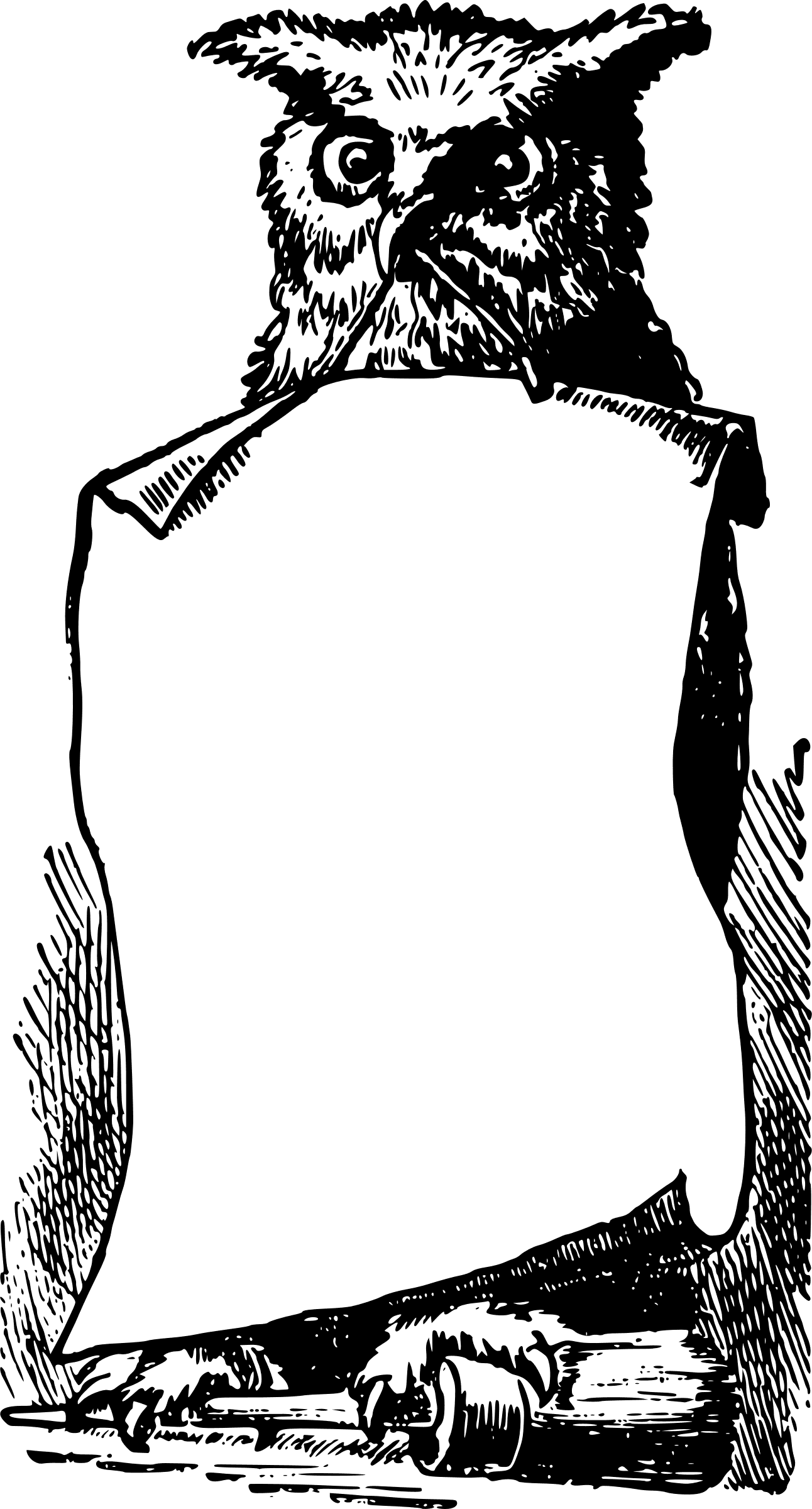 Owl Frame Clip Arts - Harry Potter Border Clipart, HD Png Download - Transparent PNG Free Download | PNGio