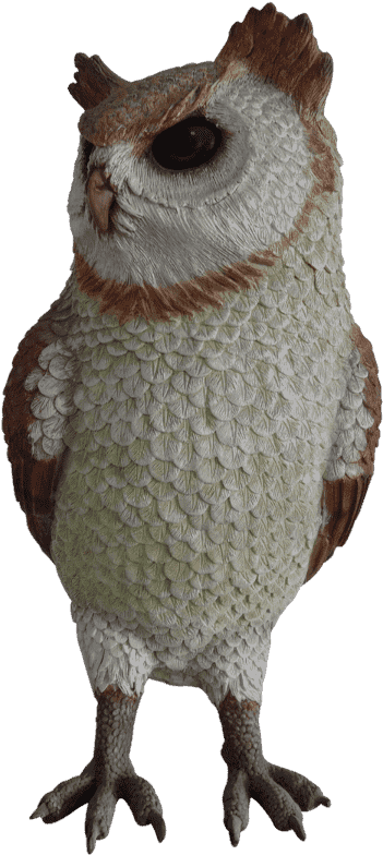 Owl, HD Png Download - Transparent PNG Free Download | PNGio