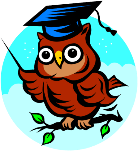 Fau Hs Rotary Scholar For January - Wise Owl, HD Png Download - Transparent PNG Free Download | PNGio