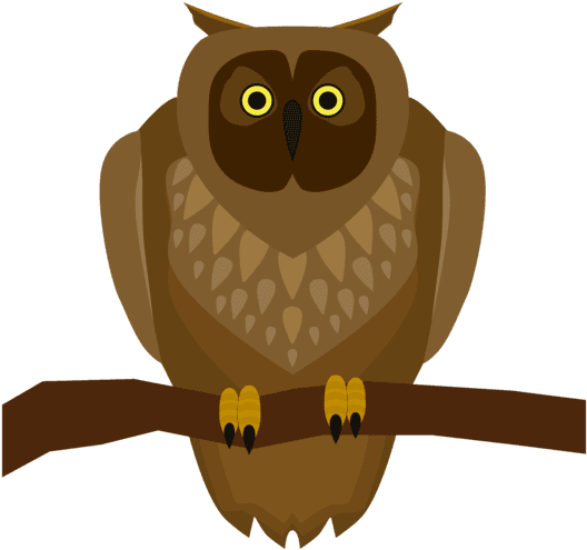 Bird Of Prey,owl,bird - Owl Sitting On A Branch Clipart, HD Png Download - Transparent PNG Free Download | PNGio