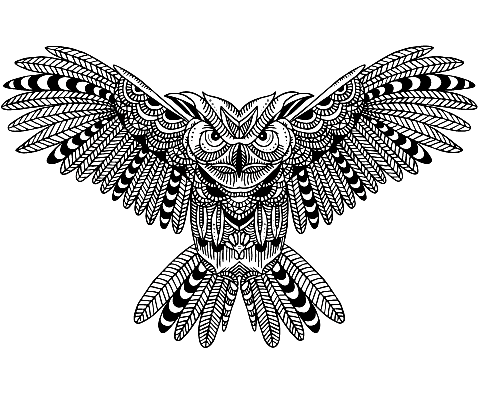 Coruja E Cervo, HD Png Download - Transparent PNG Free Download | PNGio