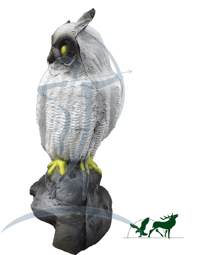 Leitold 3d-target Snow Owl - Figurine, HD Png Download - Transparent PNG Free Download | PNGio