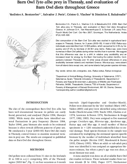 Falconiformes, HD Png Download - Transparent PNG Free Download | PNGio
