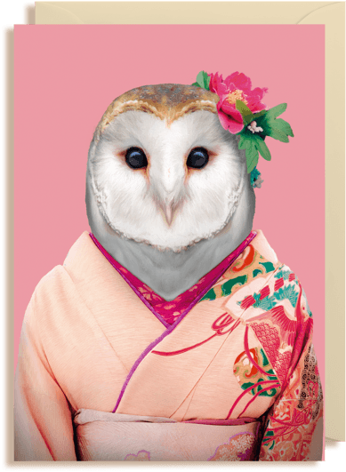 Zoo Portraits, HD Png Download - Transparent PNG Free Download | PNGio