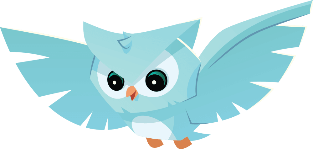 Pet Owl - Cartoon, HD Png Download - Transparent PNG Free Download | PNGio