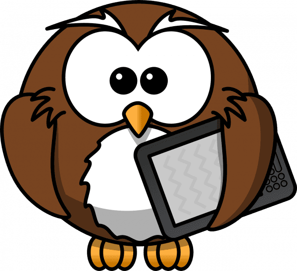 Cartoon Owl Transparent Background, HD Png Download - Transparent PNG Free Download | PNGio