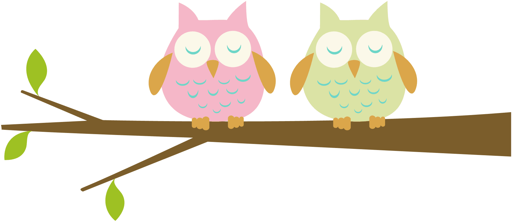 Free Baby Clipart - Baby Owl Clip Art, HD Png Download - Transparent PNG Free Download | PNGio
