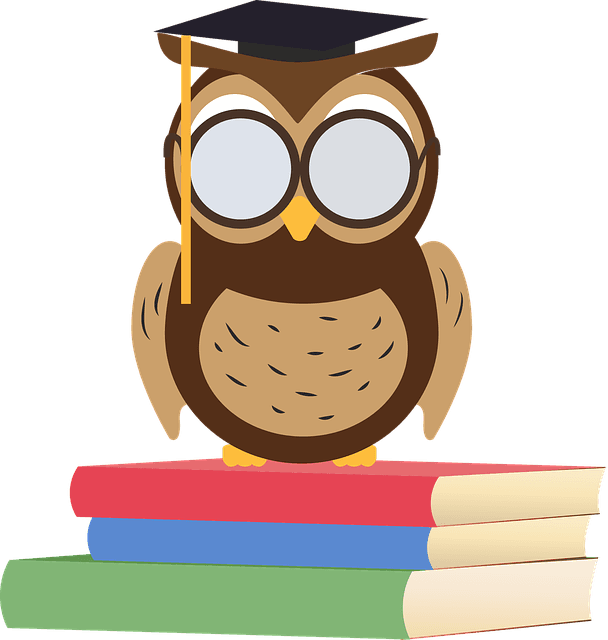 Owl, Clip Art, Books, School, Education, Wise, Cartoon - Idiom I Wasn T Born Yesterday, HD Png Download - Transparent PNG Free Download | PNGio