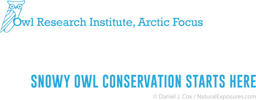 Undercover Cop, HD Png Download - Transparent PNG Free Download | PNGio