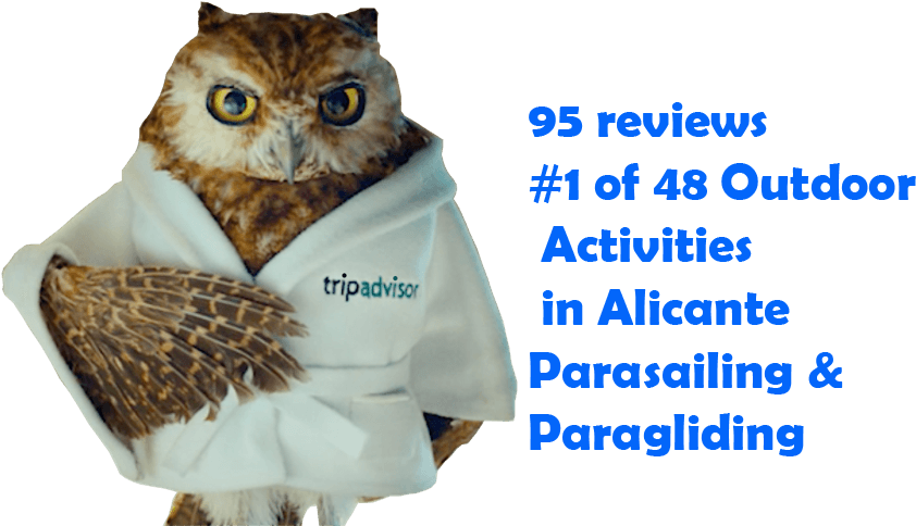 Tripadvisor-1 - Tripadvisor Owl In Bathrobe, HD Png Download - Transparent PNG Free Download | PNGio
