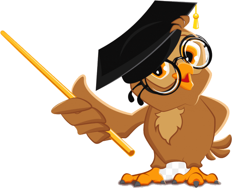 Coat Spelling Bee Fur Clipart Stunning Free Transparent - Owl Teacher Clipart Png, Png Download - Transparent PNG Free Download | PNGio