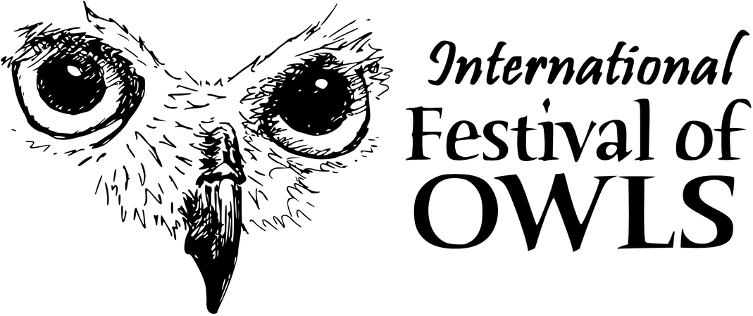 Picture - Owl, HD Png Download - Transparent PNG Free Download | PNGio