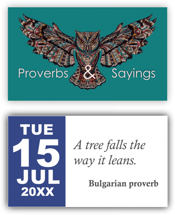 Owl, HD Png Download - Transparent PNG Free Download | PNGio