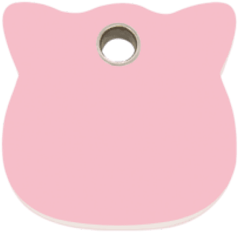 Pink Cat Head Pet Tag - Owl, HD Png Download - Transparent PNG Free Download | PNGio