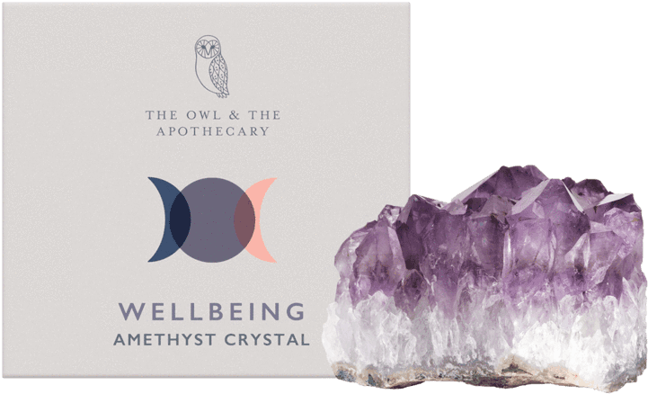 Amethyst Crystal Owl, HD Png Download - Transparent PNG Free Download | PNGio
