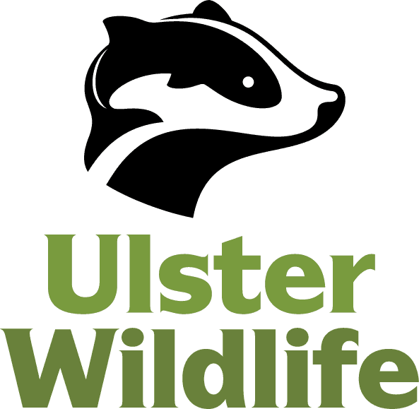 Home - Ulster Wildlife, HD Png Download - Transparent PNG Free Download | PNGio