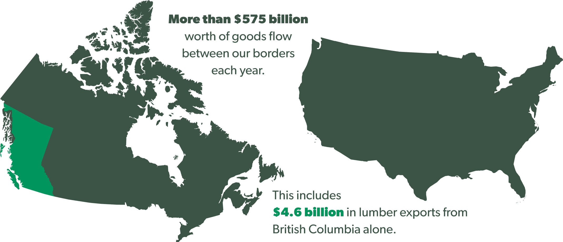 Do Burrowing Owls Live In Canada, HD Png Download - Transparent PNG Free Download | PNGio