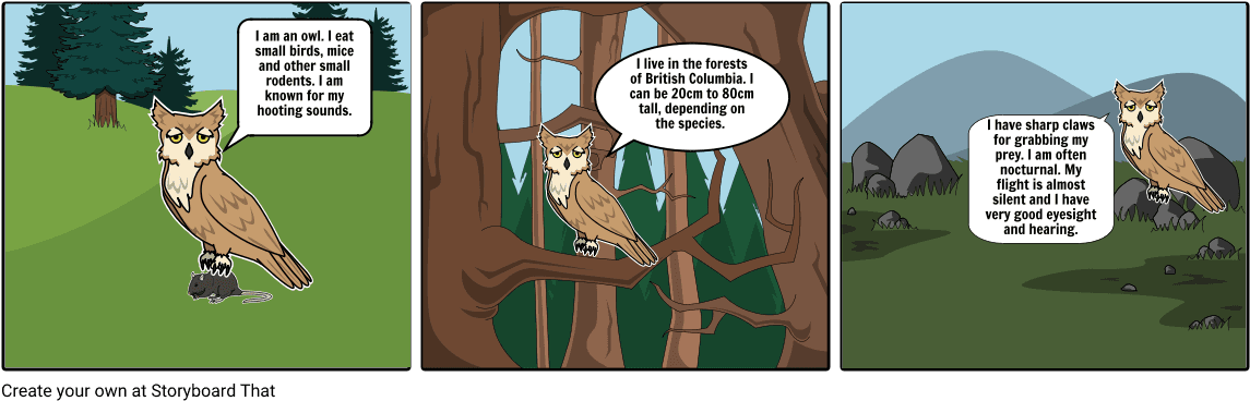 Rainforest Succession, HD Png Download - Transparent PNG Free Download | PNGio