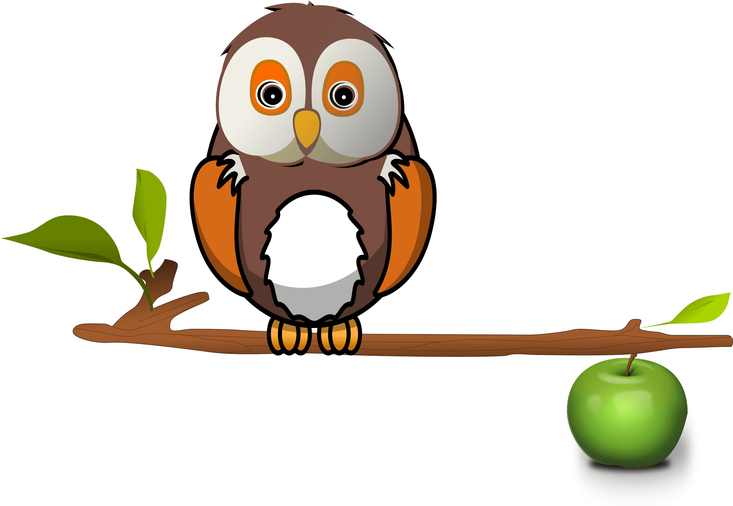 Owl On Branch Clip Arts, HD Png Download - Transparent PNG Free Download | PNGio