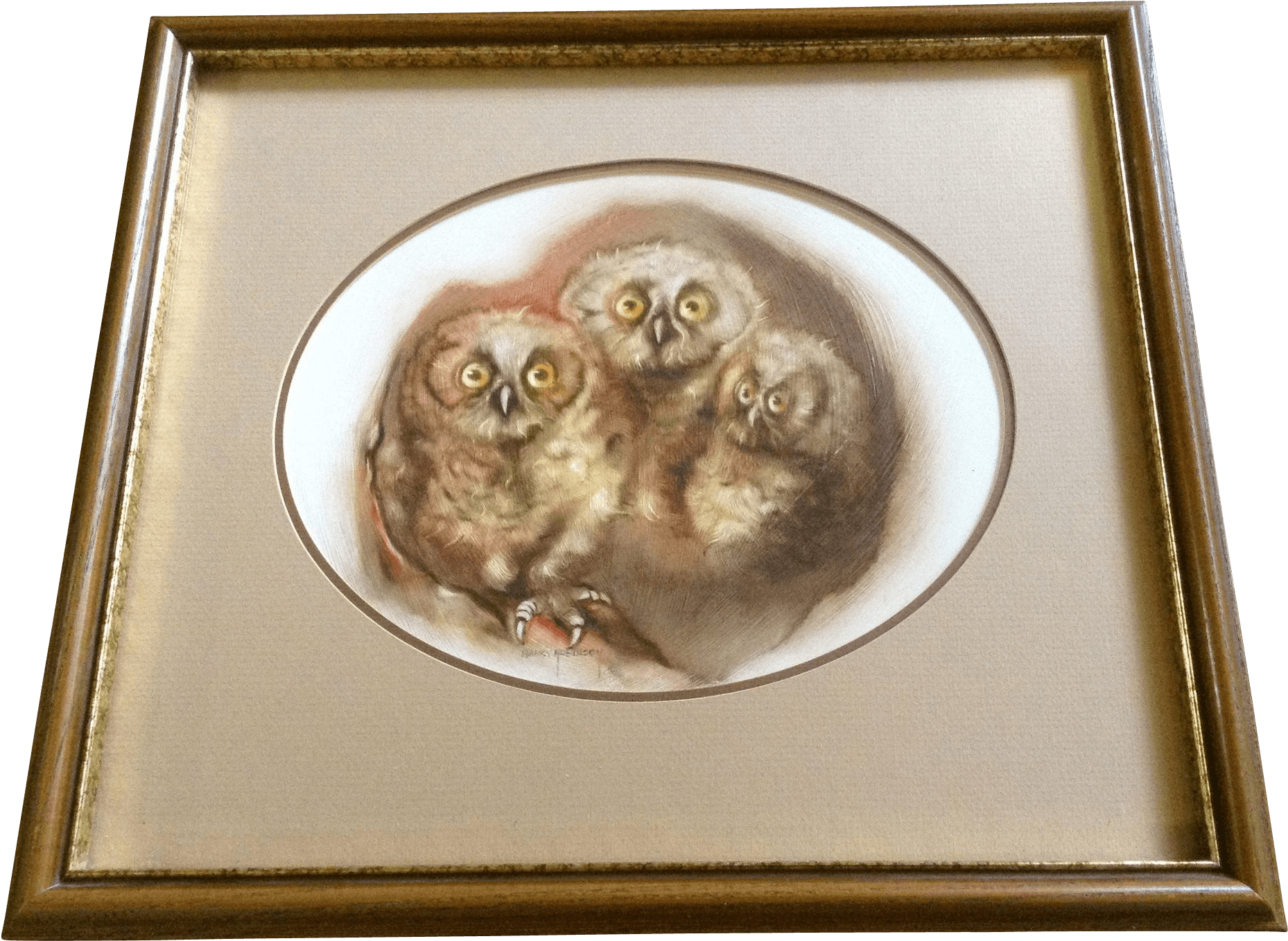 Picture Frame, HD Png Download - Transparent PNG Free Download | PNGio