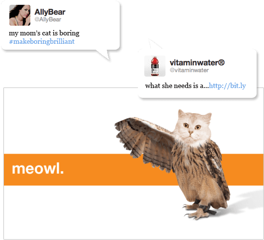 Meowl Test Png - Eastern Screech Owl, Transparent - Transparent PNG Free Download | PNGio