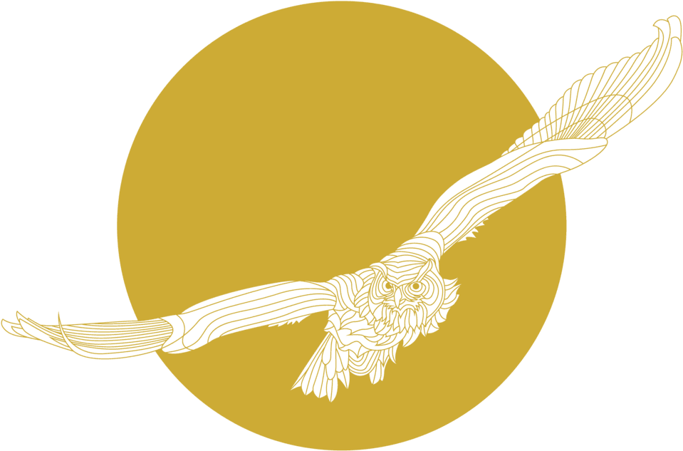 Illustration, HD Png Download - Transparent PNG Free Download | PNGio