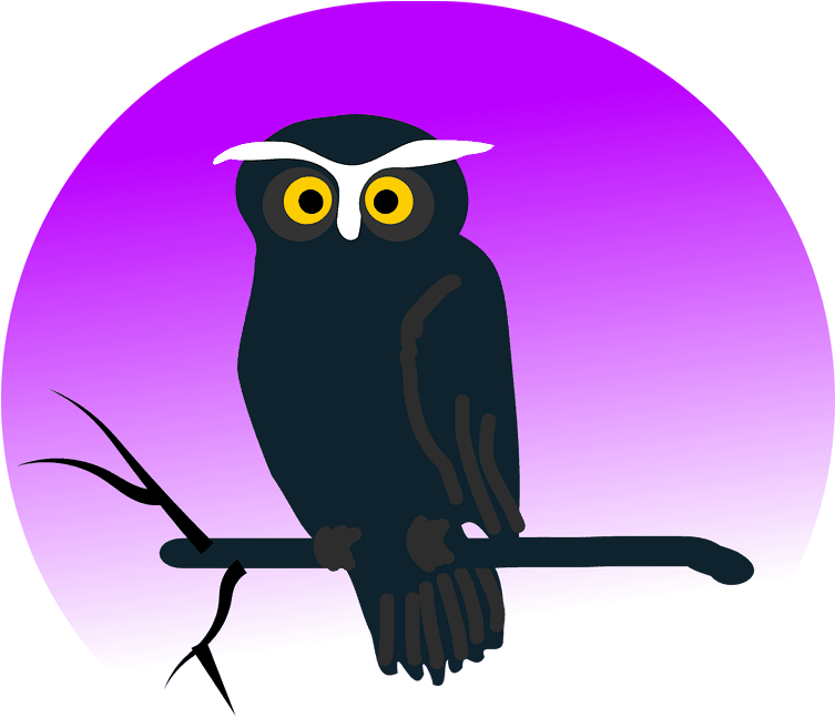 Cute Halloween Owl Clipart, HD Png Download - Transparent PNG Free Download | PNGio