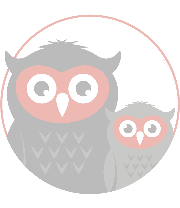Eastern Screech Owl, HD Png Download - Transparent PNG Free Download | PNGio