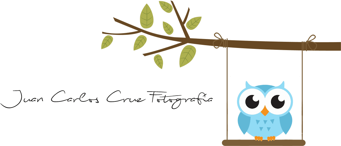 Juan Carlos Cruz Fotografía - Buho Png Niño, Transparent - Transparent PNG Free Download | PNGio