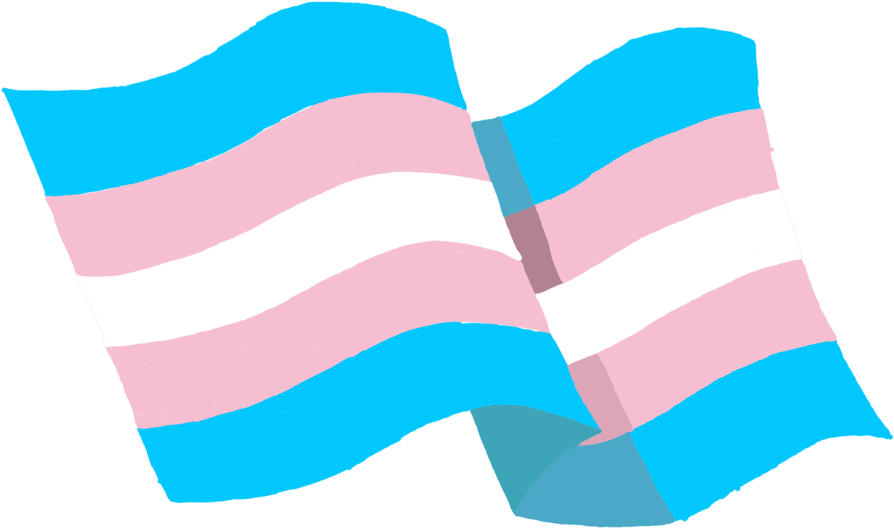 Trans Flag " Class="img Responsive Owl First Image - Graphic Design, HD Png Download - Transparent PNG Free Download | PNGio