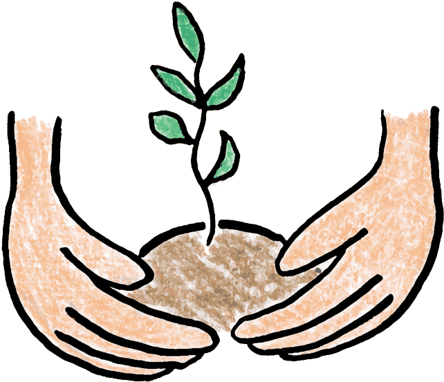 Tree Identification Book From The Arbor Day Foundation - Plant Trees Clip Art, HD Png Download - Transparent PNG Free Download | PNGio